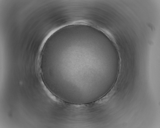 X0000111840816200907231407