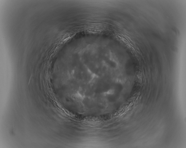 X0000111840817200907231406