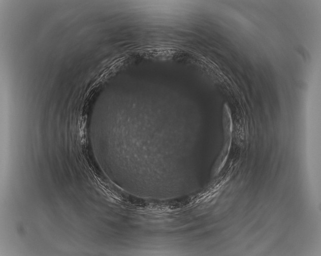 X0000111840818200907231406