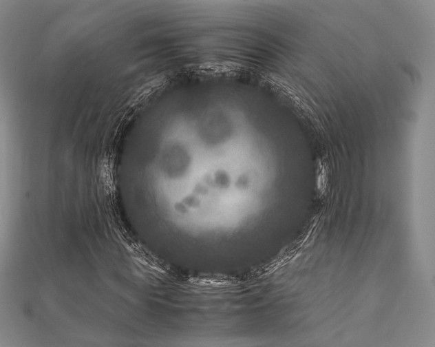 X0000111840819200907231406