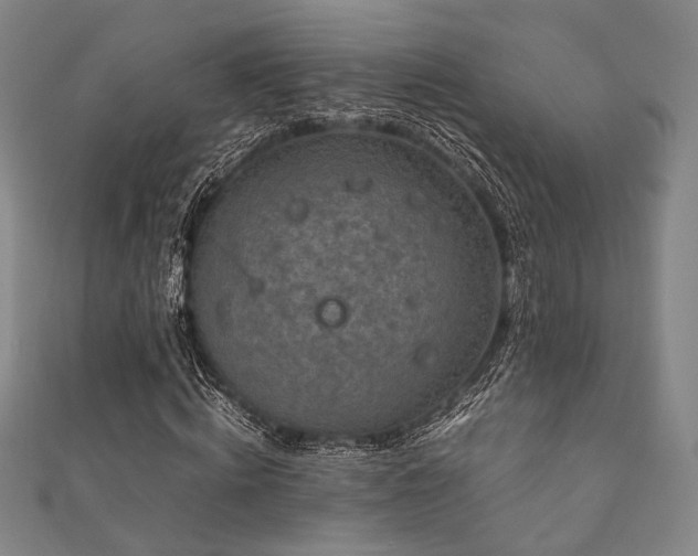 X0000111840820200907231406