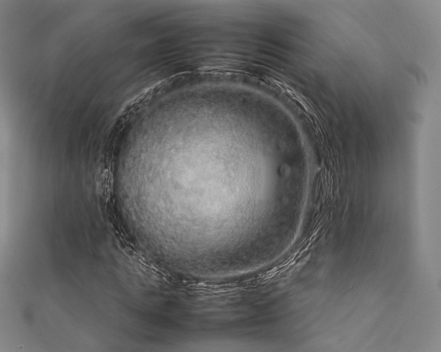 X0000111840821200907231406