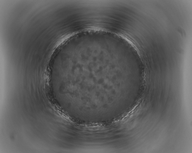 X0000111840823200907231406