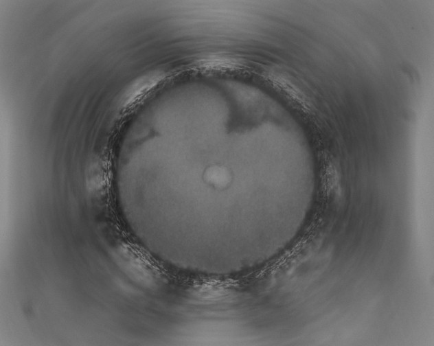 X0000111840824200907231406