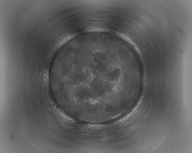 X0000111840825200907231406