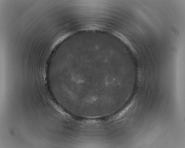 X0000111840826200907231406