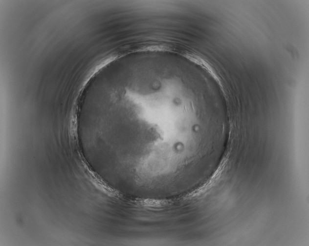 X0000111840827200907231406