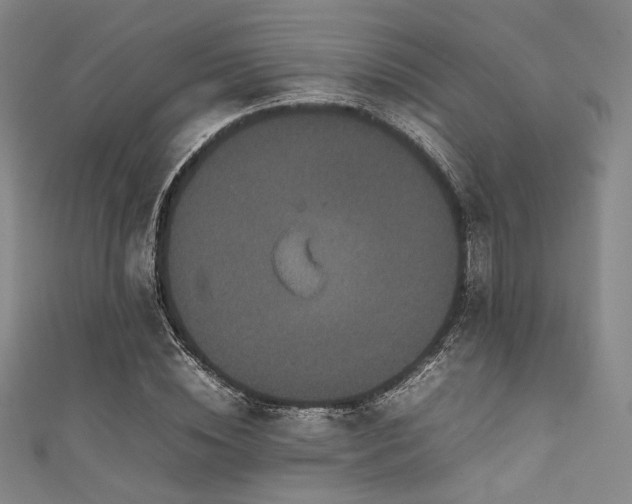 X0000111840828200907231406