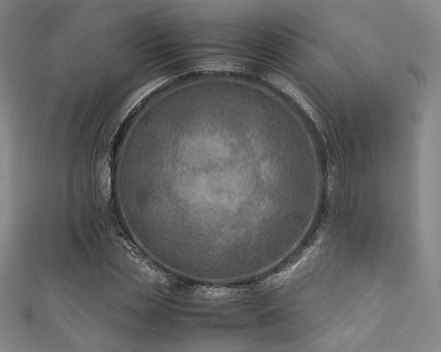 X0000111840829200907231406