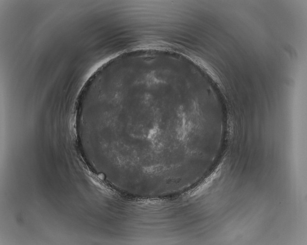 X0000111840830200907231406