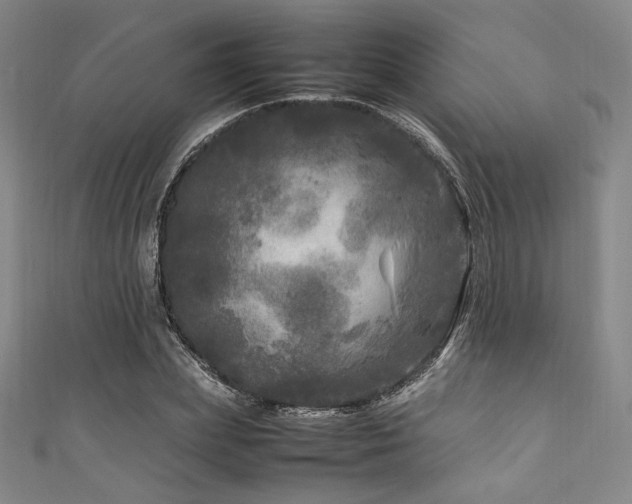 X0000111840831200907231406