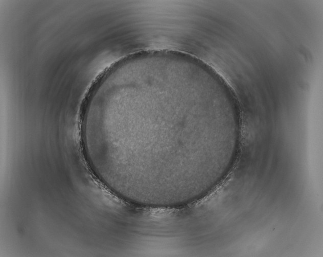 X0000111840832200907231406