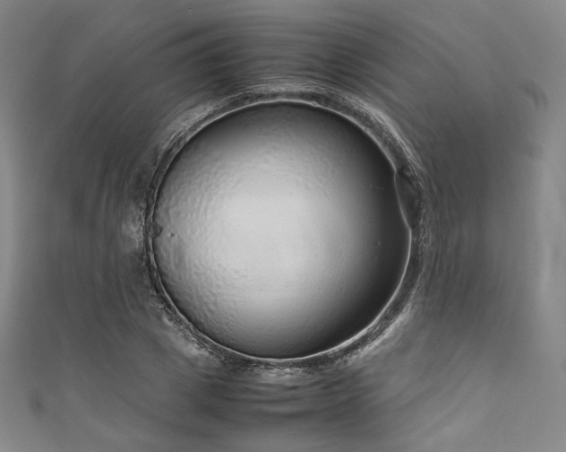 X0000111840833200907231406