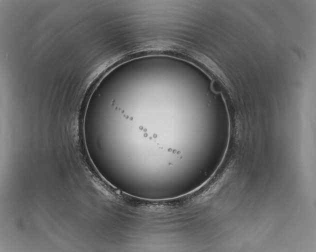 X0000111840834200907231406