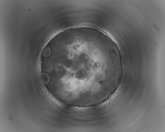 X0000111840835200907231406