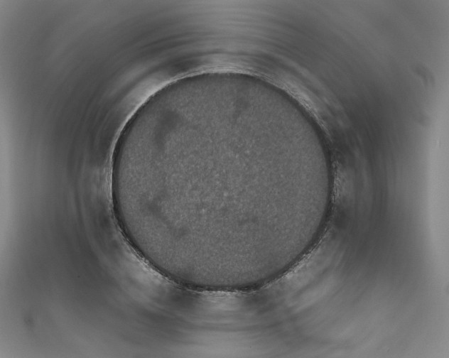 X0000111840836200907231406