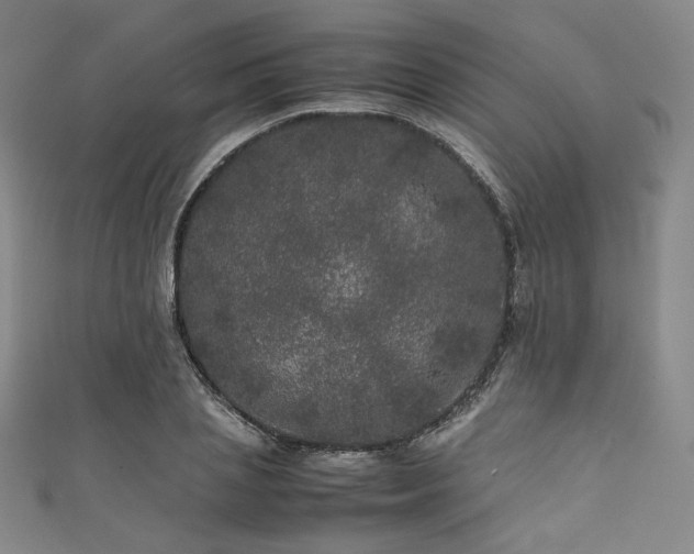 X0000111840837200907231406