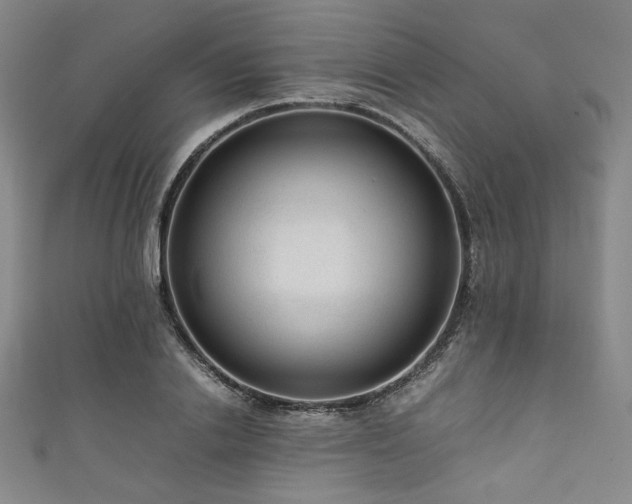 X0000111840838200907231406