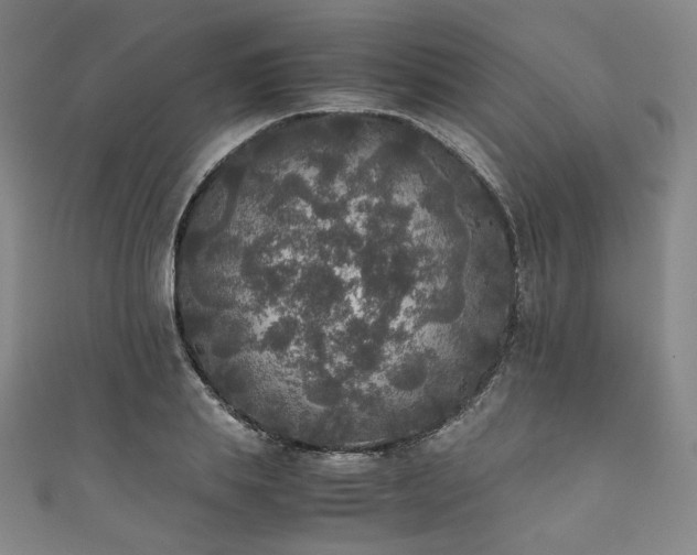 X0000111840839200907231406