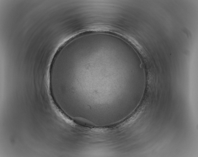 X0000111840840200907231406