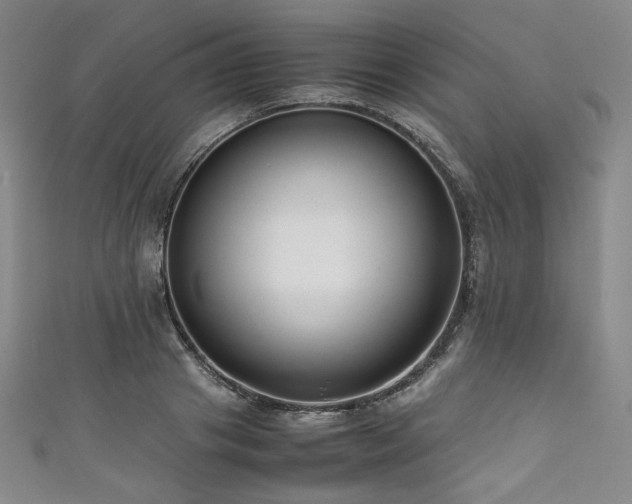 X0000111840841200907231406