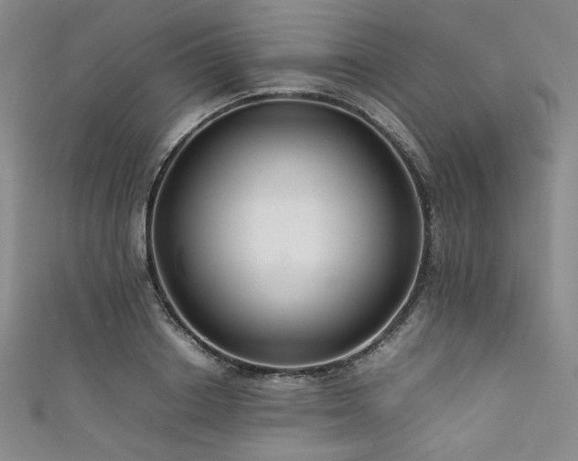 X0000111840842200907231406