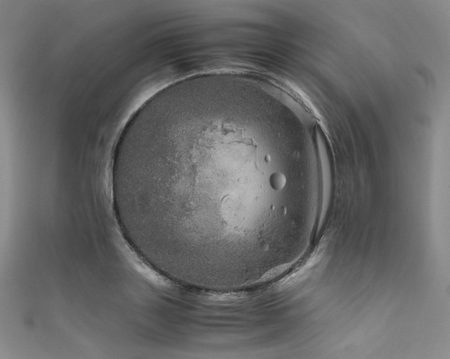 X0000111840843200907231406