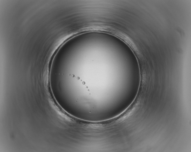 X0000111840844200907231406