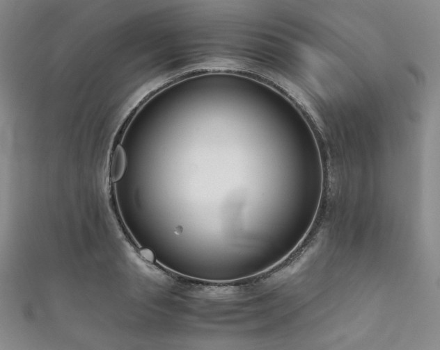 X0000111840845200907231406