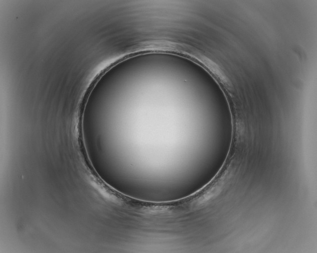 X0000111840846200907231406