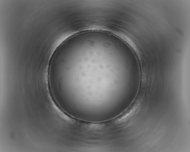 X0000111840847200907231406