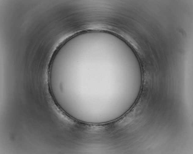 X0000111840848200907231406