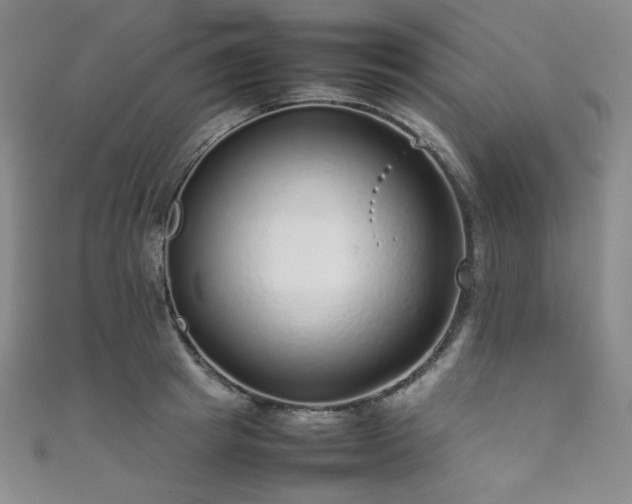 X0000111840849200907231406