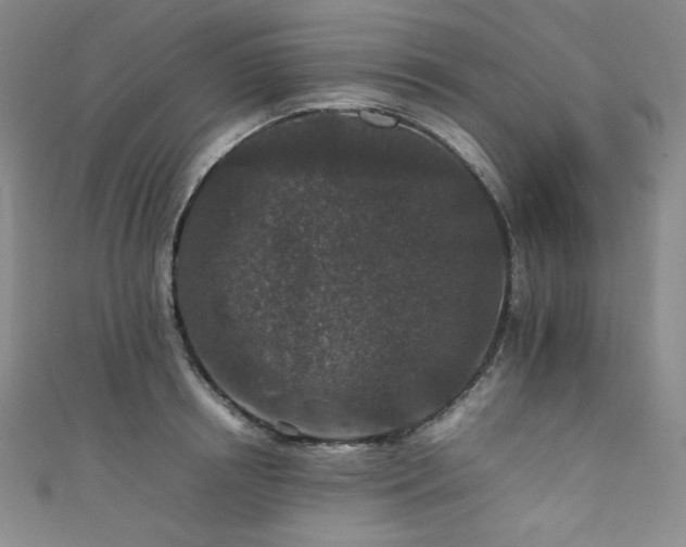 X0000111840850200907231406