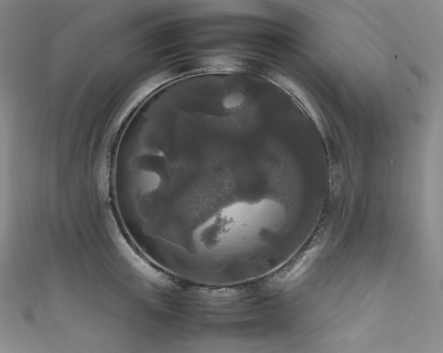 X0000111840851200907231406