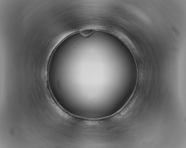 X0000111840852200907231406