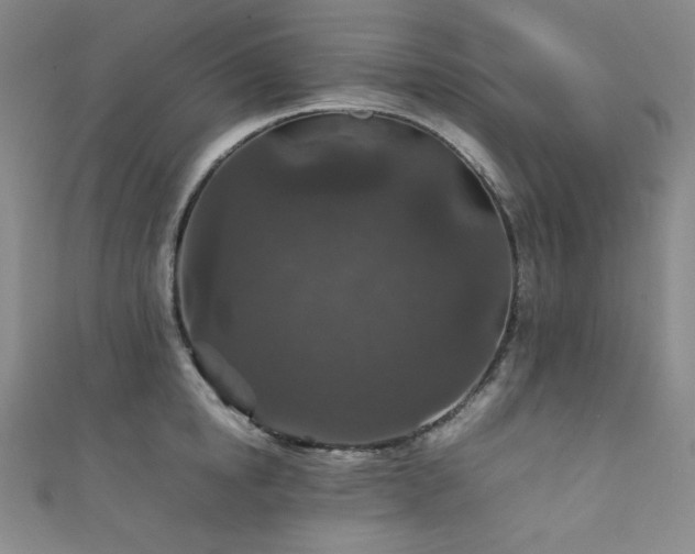 X0000111840854200907231407