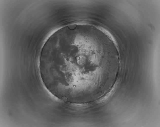 X0000111840855200907231407