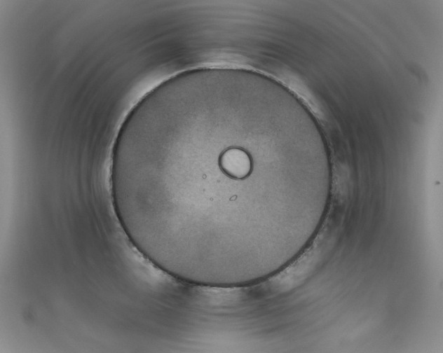 X0000111840856200907231407