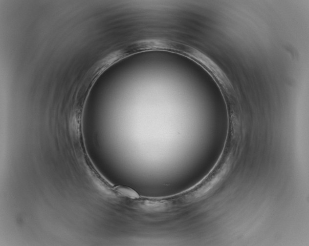 X0000111840857200907231407