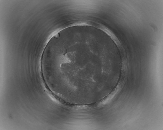 X0000111840858200907231407