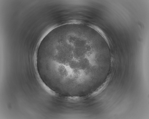 X0000111840859200907231407