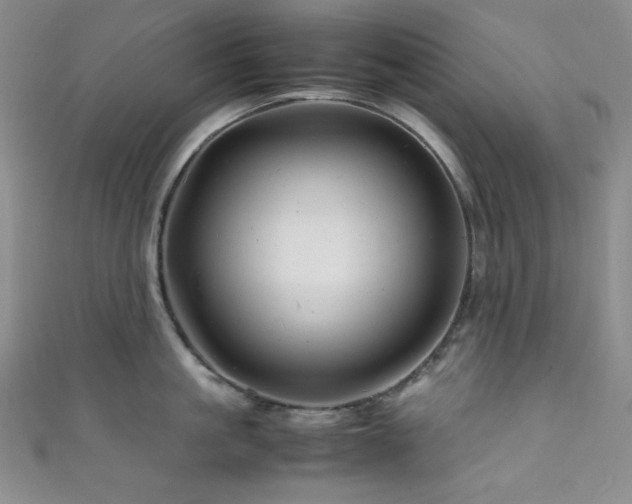 X0000111840861200907231407