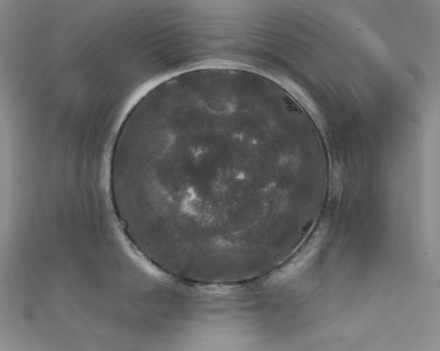 X0000111840862200907231407