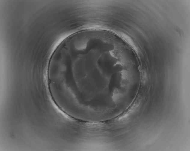 X0000111840863200907231407