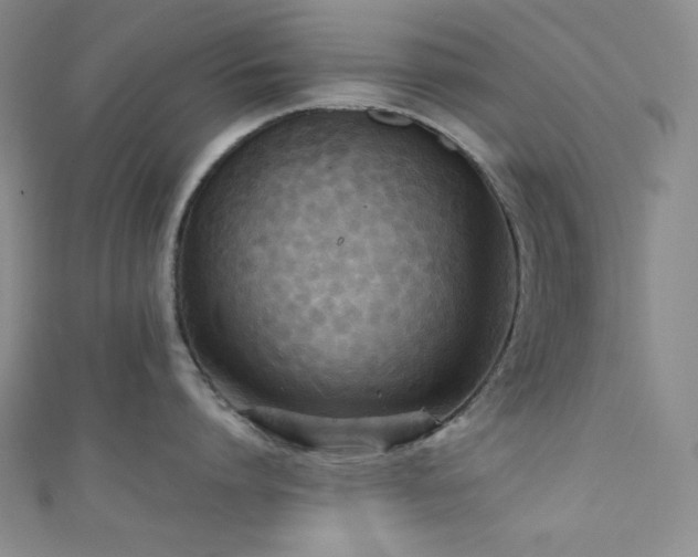 X0000111840864200907231407