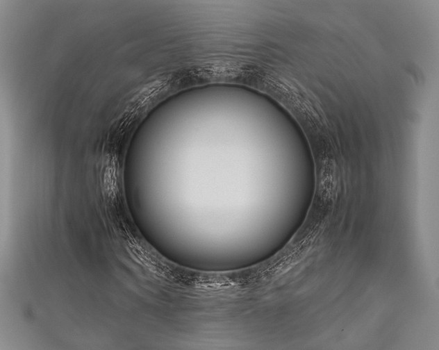 X0000111840866200907231406