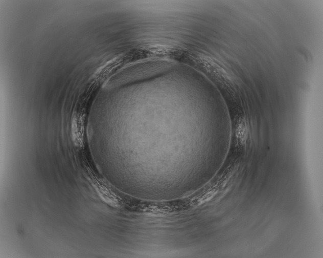 X0000111840868200907231406