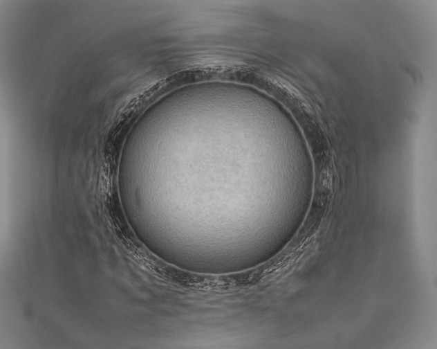 X0000111840869200907231406