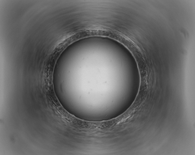 X0000111840870200907231406